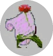 Fog to the House of Serenity Official Website